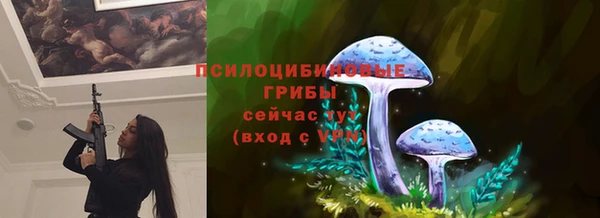 твердый Волоколамск