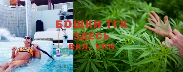 гидра Козельск