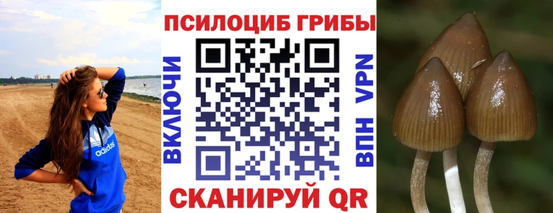 Галлюциногенные грибы Cubensis  Завитинск 